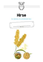 Vorschau - Arbeitsblätter - MaterialPaket: Getreide Hirse - Seite 1