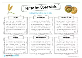 Vorschau - Arbeitsblätter - MaterialPaket: Getreide Hirse - Seite 3