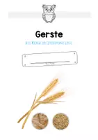 Vorschau - Arbeitsblätter - MaterialPaket: Getreide Gerste - Seite 1