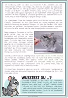 Vorschau - Arbeitsblätter - DAS CHINCHILLA - Haustiercheck - Seite 2