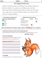 Vorschau - Arbeitsblätter - Eichhörnchen Klasse 1 & 2 Arbeitsblatt - Seite 2