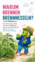 Vorschau - Bildkarten - Warum brennen Brennnesseln? - QUAPPIZ Kindernews - Deckblatt