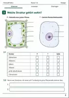 Vorschau - Arbeitsblätter - Zelle und Mikroskop Basisscreening Klasse 7–8 - Seite 2
