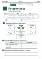 Vorschau - Arbeitsblätter - Fotosynthese Basisscreening Klasse 7–8 - Deckblatt