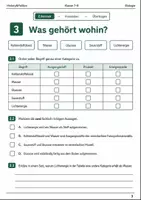 Vorschau - Arbeitsblätter - Fotosynthese Basisscreening Klasse 7–8 - Seite 2