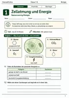 Vorschau - Arbeitsblätter - Zellatmung und Energie Basisscreening Klasse 7–8 - Deckblatt