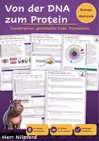 Vorschau - Stundenentwürfe - Molekulargenetik: Proteinbiosynthese (Biologie Oberstufe) - Deckblatt