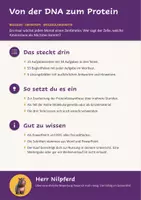 Vorschau - Stundenentwürfe - Molekulargenetik: Proteinbiosynthese (Biologie Oberstufe) - Seite 1