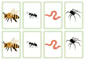 Aperçu - Jeux - Jeu du mistigri - animaux du jardin - Page 2