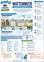Vorschau - Merkblätter - Wattenmeer - Lebensraum zwischen Ebbe und Flut - Merkblatt Erdkunde Sek 1 - Deckblatt