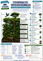 Vorschau - Merkblätter - Landschaften & Ökosysteme - 11 Merkblätter - Erdkunde Sek 1 - Seite 1