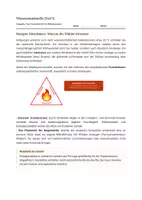 Vorschau - Stundenentwürfe - Materialpaket Geografie gesamt für Klasse 7/8/9 - Seite 3