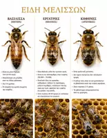 Προεπισκόπηση - Flashcards - Μέλισσα: Εποπτικό υλικό και εικόνες. - Σελίδα 3