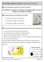 Aperçu - Apprentissages en autonomie - Ateliers de français CE1 - Lecture expressive n°2 - Page 3