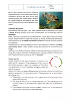 Vorschau - Arbeitsblätter - Ecosystem Lake: Communities in a Lake Ecosystem – Bilingual Biology Worksheet with Solutions | Vocational Education - Seite 1
