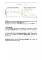 Vorschau - Arbeitsblätter - Ecosystem Lake: Communities in a Lake Ecosystem – Bilingual Biology Worksheet with Solutions | Vocational Education - Seite 2