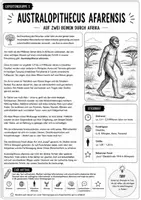Vorschau - Stundenentwürfe - Evolution des Menschen – Gruppenpuzzle mit Expertenblättern, Tabelle & Lösungen | Klasse 5–6 - Seite 1