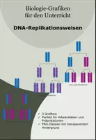 Vorschau - selbst erstellte Cliparts/Grafiken - Grafiken: DNA-Replikationsweisen - Deckblatt