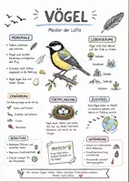 Vorschau - Arbeitsblätter - Lernposter + Arbeitsblatt "Vögel" + Onlineübung & MP3 + Mindmap + Infografik - Deckblatt