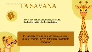 anteprima - Programmi scolastici / Materiali per docenti - La savana per la secondaria di I e II grado - Pagina di copertina