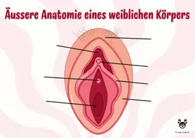 Vorschau - Stationenlernen - Schemata Vagina & Co - Schaubilder - Sexualkunde - Seite 1