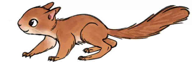 Vorschau - Präsentationen/Tafelbilder - Eichhörnchen 25 farbige Illustrationen - Seite 1