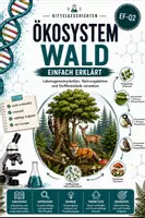Vorschau - Stundenentwürfe - Ökosystem Wald einfach erklärt | Biologie Klasse 10-11| Ökologie, Nahrungsketten und Klimawandel - Deckblatt