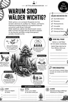 Vorschau - Stundenentwürfe - Ökosystem Wald einfach erklärt | Biologie Klasse 10-11| Ökologie, Nahrungsketten und Klimawandel - Seite 2