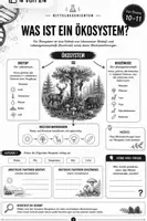 Vorschau - Stundenentwürfe - Ökosystem Wald einfach erklärt | Biologie Klasse 10-11| Ökologie, Nahrungsketten und Klimawandel - Seite 3