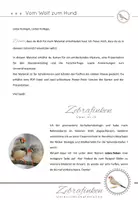 Vorschau - Stundenentwürfe - Mystery vom Wolf zum Hund - Seite 1