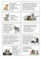 Vorschau - Stundenentwürfe - Mystery vom Wolf zum Hund - Seite 2