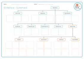 Vorschau - Spiele - Wirbellose Tiere Systematik – Arbeitsblatt - Seite 3