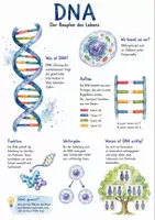 Vorschau - Arbeitsblätter - Lernposter + Arbeitsblatt "DNA" + Onlineübung & MP3 + Mindmap + Infografik - Deckblatt