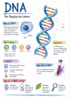 Vorschau - Arbeitsblätter - Lernposter + AB mit Fragen zum Thema "DNA" + Lösungsblatt + Infografik - Deckblatt