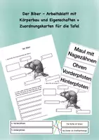 Vorschau - Arbeitsblätter - Biber Zuordnungskarten und Arbeitsblatt - Deckblatt