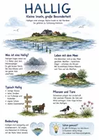 Vorschau - Arbeitsblätter - Lernplakat + AB mit Fragen zum Thema "Hallig" + Lösungsblatt + Mindmap + Infografik - Deckblatt