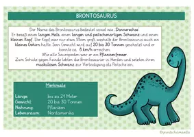 Vorschau - Stationenlernen - INFOKARTEN: Dinosaurier - Die verschiedenen Arten - Seite 3