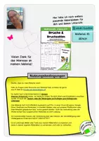 Vorschau - Arbeitsblätter - Mathematikschularbeiten 4. Klasse – Komplettpaket | Übungsmappen & Schularbeiten - Seite 3