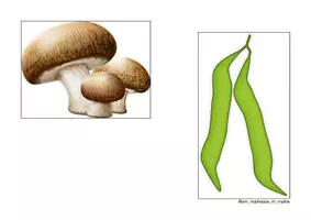 Aperçu - Cartes / Images - Anglais - Flashcards - Aliments - P3 - Page 2