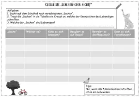 Vorschau - Arbeitsblätter - Die Kennzeichen des Lebendigen - zweiteiliges Material - Seite 3