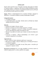 Vista previa - Refuerzo / NEE / Materiales de apoyo - TARGETES PER COMPTAR SÍL·LABES - página 2