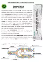 Vorschau - Arbeitsblätter - DNA-Replikation (zweifach differenziert, inkl. Sprinter und Lösung) - Seite 2