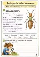 Vorschau - Arbeitsblätter - Insekten und ihre Bedeutung Klasse 5 -6 Körperbau und Bestäubung - Seite 2