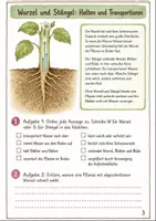 Vorschau - Arbeitsblätter - Pflanzen Klasse 5 -6 Grundlagen und Beobachtungen - Seite 2