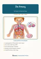 Vorschau - Arbeitsblätter - Die Atmung – Lesespurgeschichte mit Rätselaufgaben (Klasse 7) - Seite 1