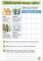 Vorschau - Unterrichtsreihen - Tieranpassungen Klasse 5 -6 Körperbau und Verhalten - Seite 2