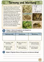 Vorschau - Unterrichtsreihen - Tieranpassungen Klasse 5 -6 Körperbau und Verhalten - Seite 3