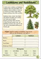 Vorschau - Unterrichtsreihen - Ökosystem Wald Klasse 5 -6 Wald-Systembild erstellen - Seite 3