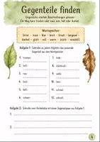 Vorschau - Stundenentwürfe - Adjektive im Herbst Klasse 5 -6 Treffend beschreiben - Seite 3