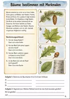 Vorschau - Stationenlernen - Den Wald erforschen Klasse 3 -4 Beobachten und Forschen - Seite 3